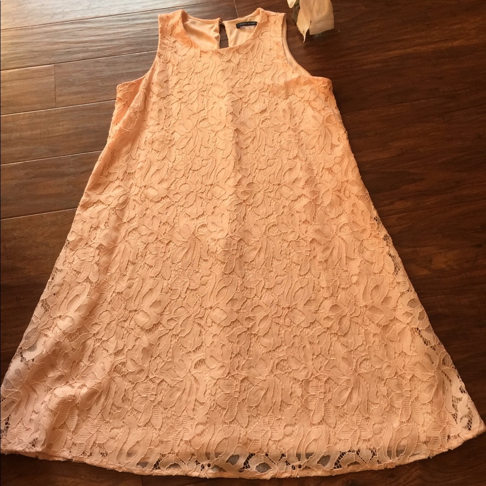 Blush pink, stretch lace dress.
